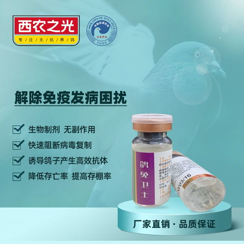 西農之光 鴿免衛士——賽鴿疫苗伴侶的生物制劑革命