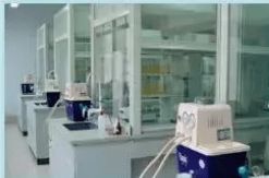 誠信制藥，技精業勤 山東藥品食品職業學院制藥工程系助力大國工匠之夢——聚焦生物制劑研發