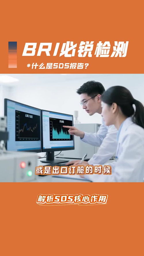 廈門必銳產品技術服務與信息技術咨詢服務解析