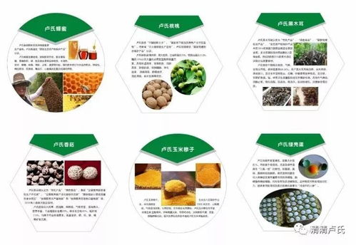 原上盧氏 全力助推精準脫貧，農(nóng)產(chǎn)品零售煥新生