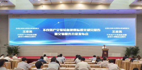 北金所成功舉辦不良資產交易信息披露標準化研究報告暨交易服務升級發(fā)布會，助力新沂互聯(lián)網游戲服務行業(yè)規(guī)范發(fā)展